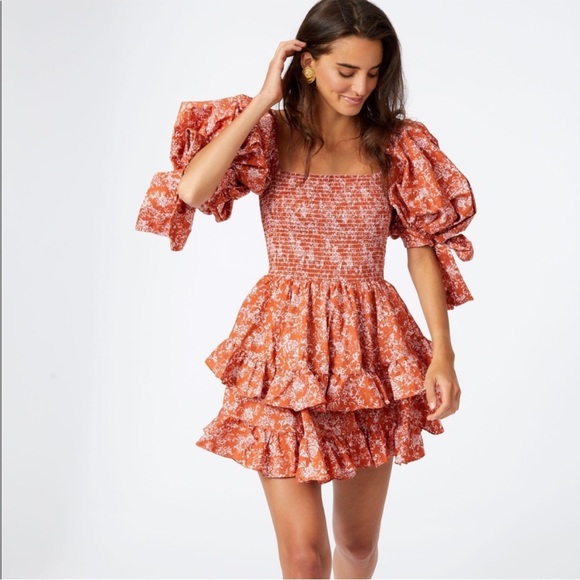 Caroline Constas Finley Dress in Rust, Size Large, NWOT - Picture 1 of 7